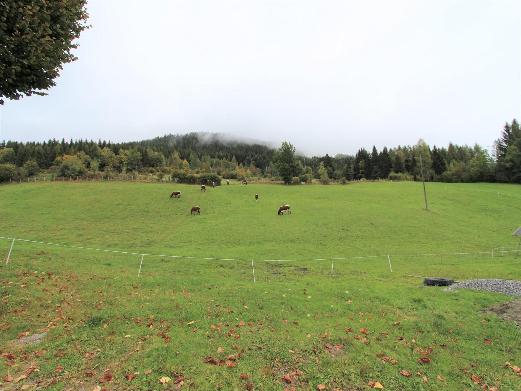 Characterful Old Farmhouse With 4 Apartments In Fresach Carinthia With Garden Bagian luar foto